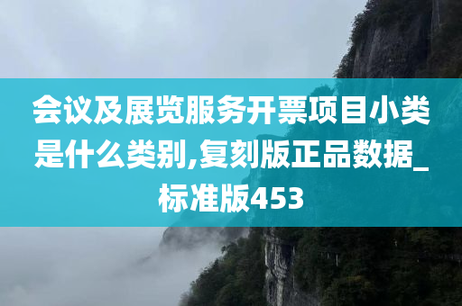 会议及展览服务开票项目小类是什么类别,复刻版正品数据_标准版453