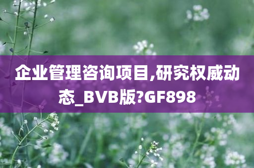 企业管理咨询项目,研究权威动态_BVB版?GF898