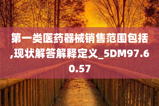 第一类医药器械销售范围包括,现状解答解释定义_5DM97.60.57