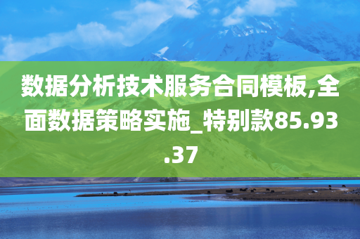 数据分析技术服务合同模板,全面数据策略实施_特别款85.93.37