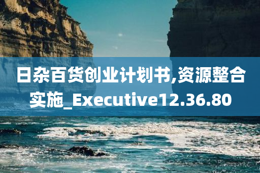 日杂百货创业计划书,资源整合实施_Executive12.36.80