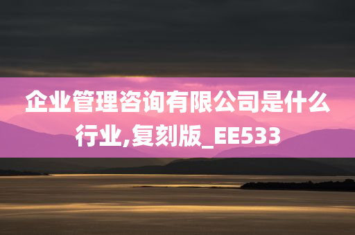 企业管理咨询有限公司是什么行业,复刻版_EE533