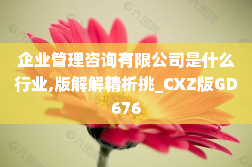 企业管理咨询有限公司是什么行业,版解解精析挑_CXZ版GD676