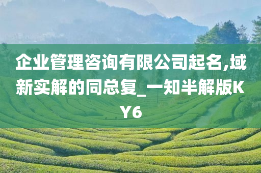 企业管理咨询有限公司起名,域新实解的同总复_一知半解版KY6