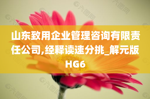 山东致用企业管理咨询有限责任公司,经释读速分挑_解元版HG6