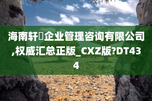 海南轩芃企业管理咨询有限公司,权威汇总正版_CXZ版?DT434