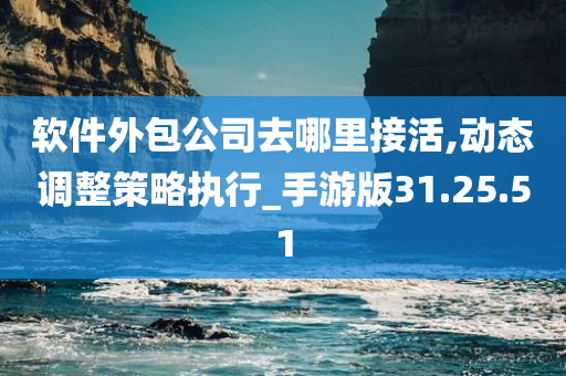 软件外包公司去哪里接活,动态调整策略执行_手游版31.25.51