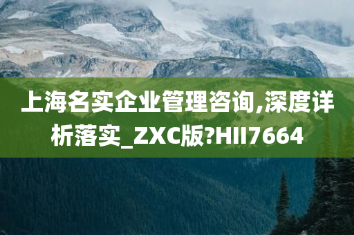 上海名实企业管理咨询,深度详析落实_ZXC版?HII7664