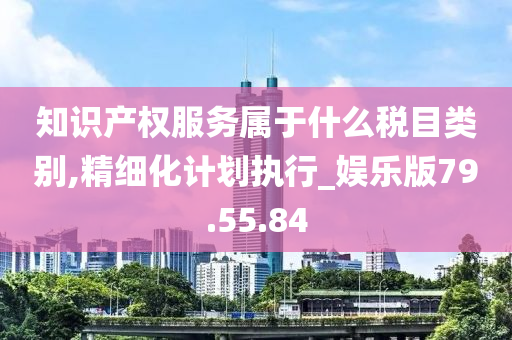 知识产权服务属于什么税目类别,精细化计划执行_娱乐版79.55.84