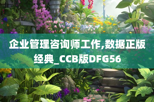 企业管理咨询师工作,数据正版经典_CCB版DFG56