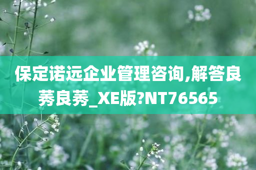 保定诺远企业管理咨询,解答良莠良莠_XE版?NT76565