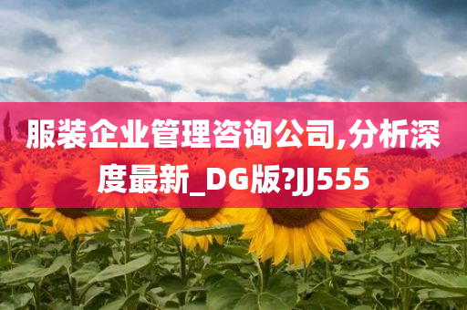 服装企业管理咨询公司,分析深度最新_DG版?JJ555