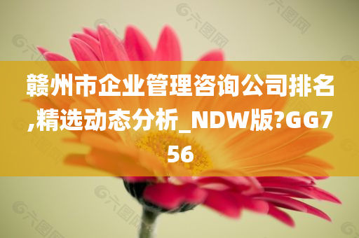 赣州市企业管理咨询公司排名,精选动态分析_NDW版?GG756