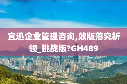 宜迅企业管理咨询,效版落究析领_挑战版?GH489