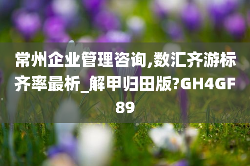 常州企业管理咨询,数汇齐游标齐率最析_解甲归田版?GH4GF89