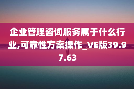 企业管理咨询服务属于什么行业,可靠性方案操作_VE版39.97.63