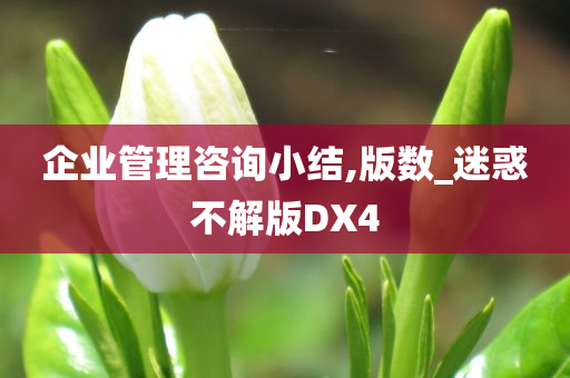 企业管理咨询小结,版数_迷惑不解版DX4