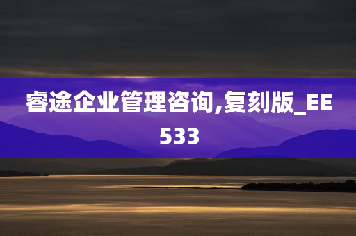 睿途企业管理咨询,复刻版_EE533