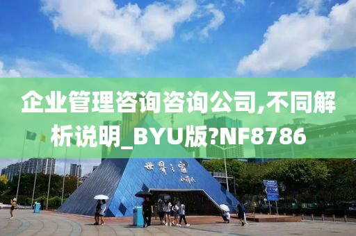 企业管理咨询咨询公司,不同解析说明_BYU版?NF8786