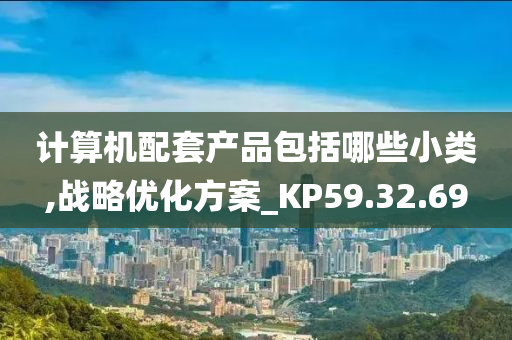 计算机配套产品包括哪些小类,战略优化方案_KP59.32.69