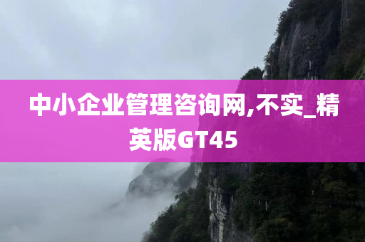 中小企业管理咨询网,不实_精英版GT45