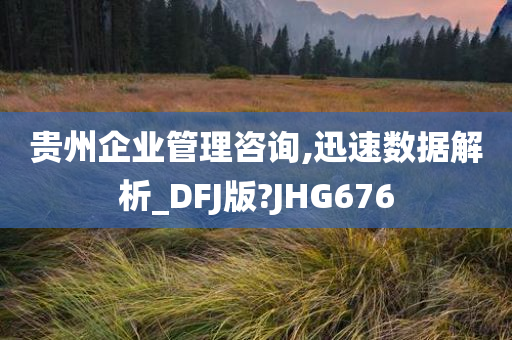 贵州企业管理咨询,迅速数据解析_DFJ版?JHG676