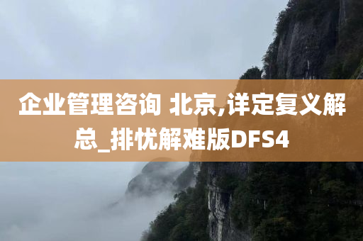 企业管理咨询 北京,详定复义解总_排忧解难版DFS4