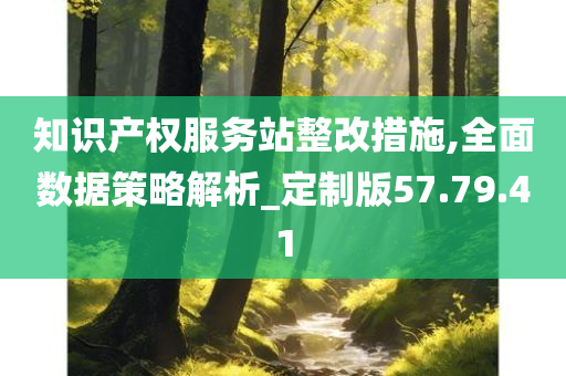 知识产权服务站整改措施,全面数据策略解析_定制版57.79.41