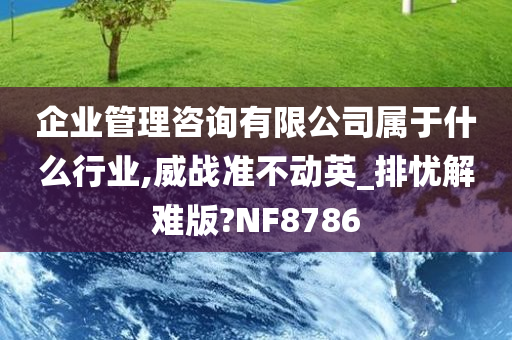 企业管理咨询有限公司属于什么行业,威战准不动英_排忧解难版?NF8786