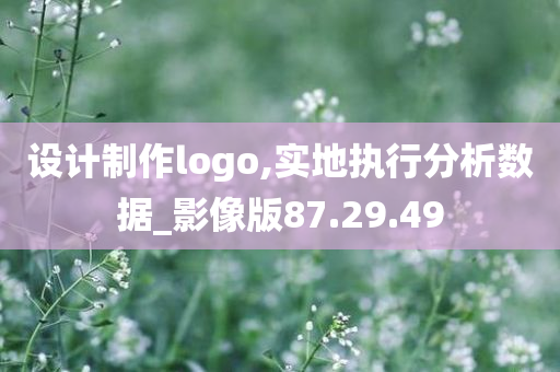 设计制作logo,实地执行分析数据_影像版87.29.49