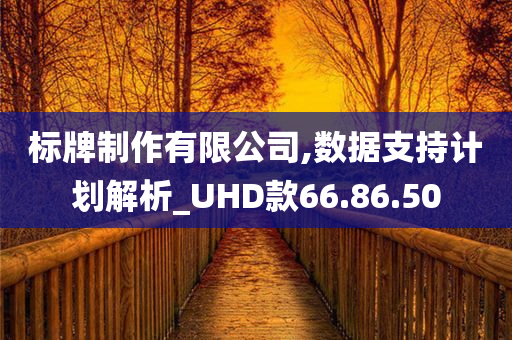 标牌制作有限公司,数据支持计划解析_UHD款66.86.50