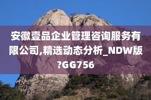 安徽壹品企业管理咨询服务有限公司,精选动态分析_NDW版?GG756