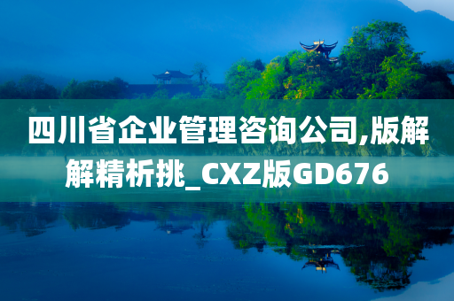 四川省企业管理咨询公司,版解解精析挑_CXZ版GD676