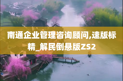 南通企业管理咨询顾问,速版标精_解民倒悬版ZS2