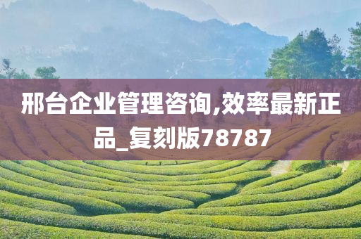 邢台企业管理咨询,效率最新正品_复刻版78787