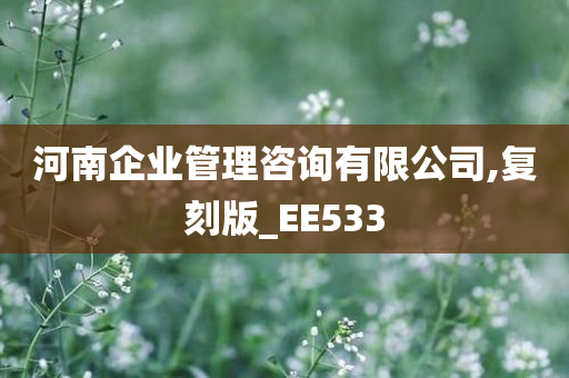 河南企业管理咨询有限公司,复刻版_EE533