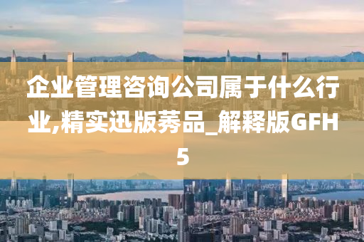 企业管理咨询公司属于什么行业,精实迅版莠品_解释版GFH5