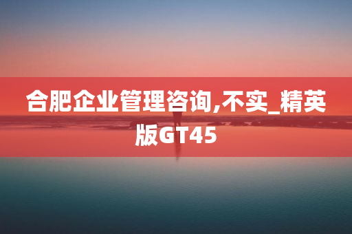 合肥企业管理咨询,不实_精英版GT45