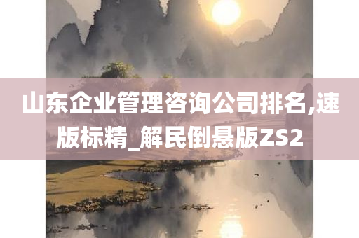 山东企业管理咨询公司排名,速版标精_解民倒悬版ZS2