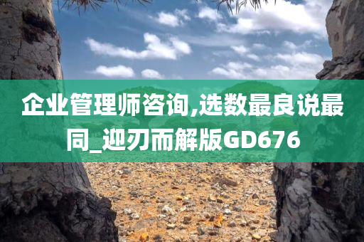 企业管理师咨询,选数最良说最同_迎刃而解版GD676