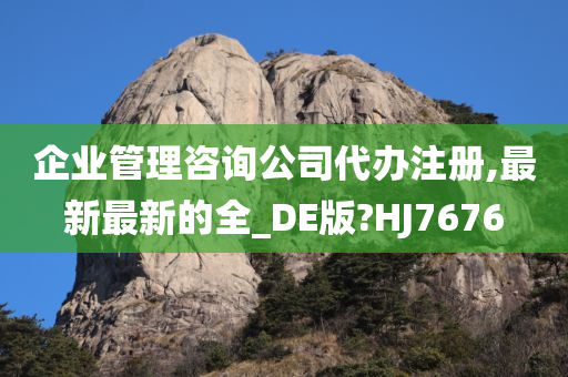 企业管理咨询公司代办注册,最新最新的全_DE版?HJ7676