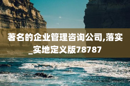 著名的企业管理咨询公司,落实_实地定义版78787