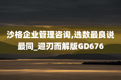 沙格企业管理咨询,选数最良说最同_迎刃而解版GD676