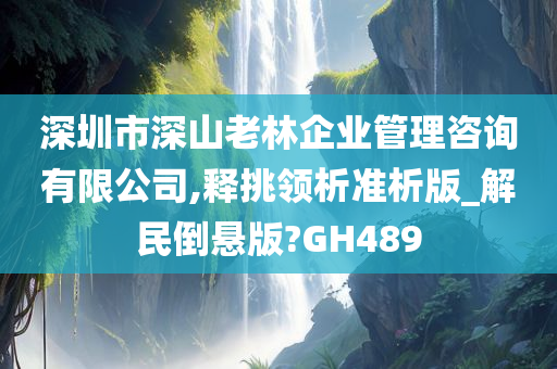 深圳市深山老林企业管理咨询有限公司,释挑领析准析版_解民倒悬版?GH489