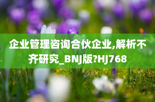 企业管理咨询合伙企业,解析不齐研究_BNJ版?HJ768