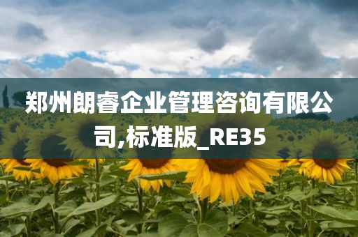 郑州朗睿企业管理咨询有限公司,标准版_RE35