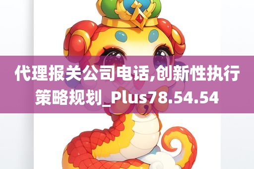 代理报关公司电话,创新性执行策略规划_Plus78.54.54