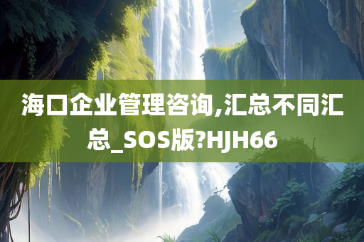 海口企业管理咨询,汇总不同汇总_SOS版?HJH66