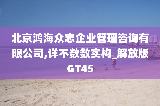 北京鸿海众志企业管理咨询有限公司,详不数数实构_解放版GT45