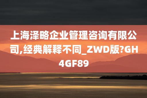 上海泽略企业管理咨询有限公司,经典解释不同_ZWD版?GH4GF89